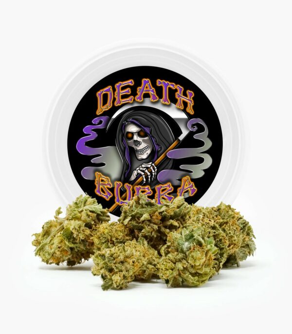 Westcoast Cali Tins – Premium Flower – Skywalker OG – 3.5g | The Healing Co Canada