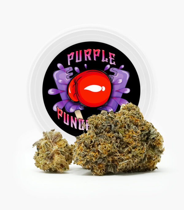 Westcoast Cali Tins – Premium Flower – Purple Punchsicle – 14g | The Healing Co Canada