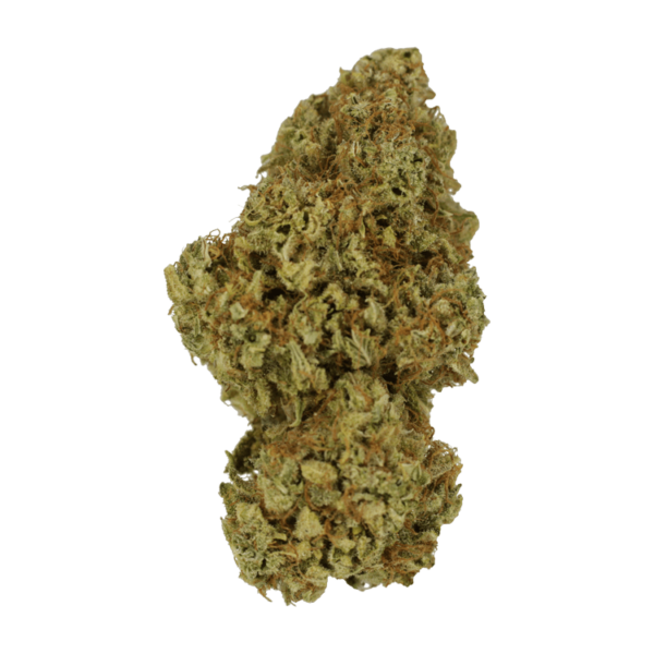 Sour Amnesia | The Healing Co Canada