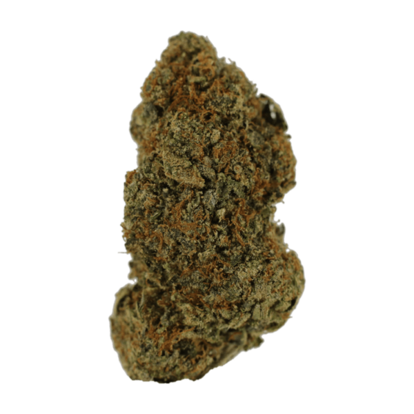 Donkey Butter | The Healing Co Canada