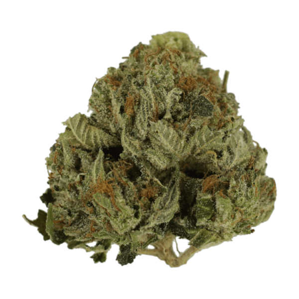 Pink Animal – 1 ounce | The Healing Co Canada