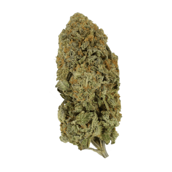 Captain Crunch | The Healing Co Canada