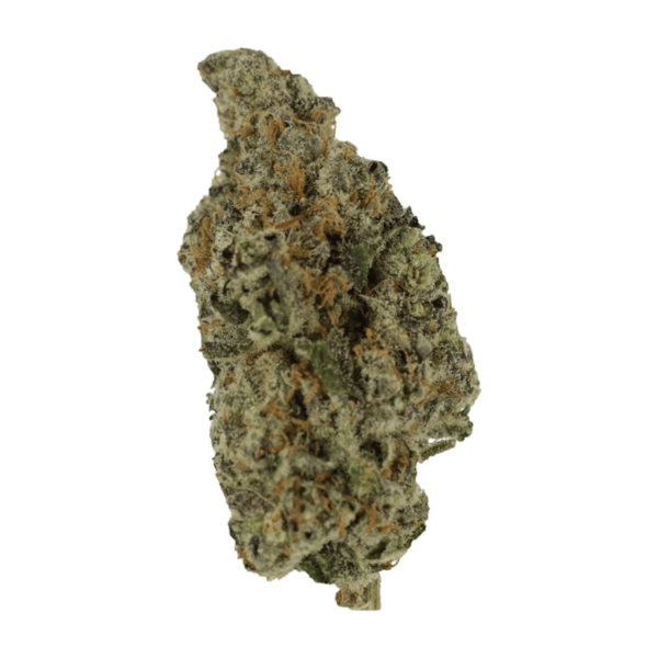 Biscotti Sundae | The Healing Co Canada