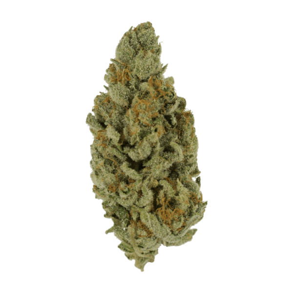 Captain Crunch | The Healing Co Canada