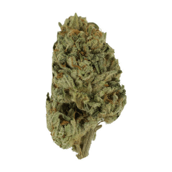 Biscotti Sundae | The Healing Co Canada