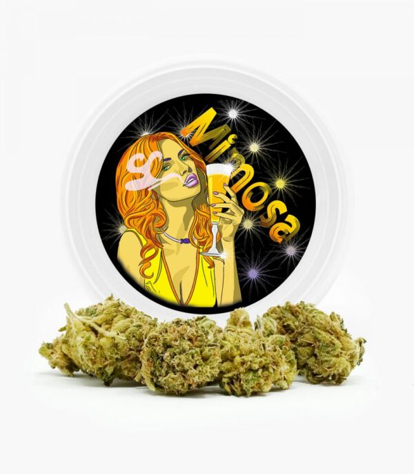 Westcoast Cali Tins – Premium Flower – Mimosa – 3.5g | The Healing Co Canada