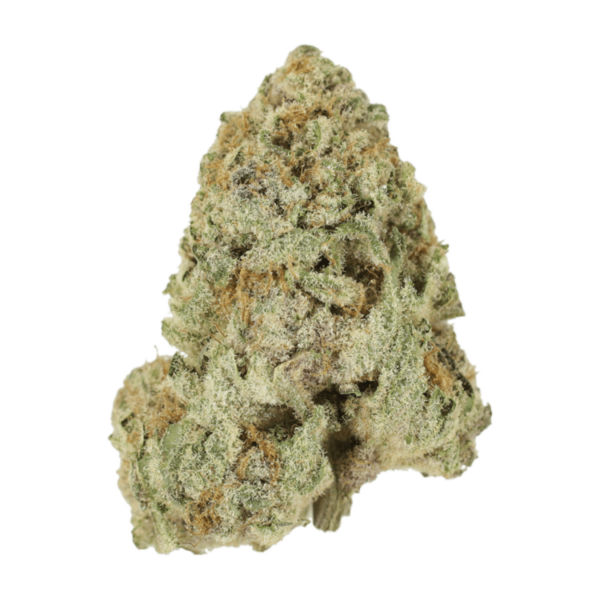 Dank Schrader | The Healing Co Canada