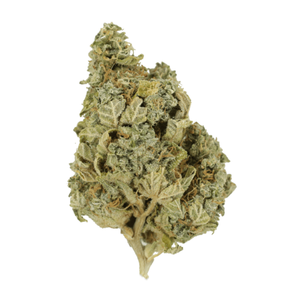 Khalifa Kush | The Healing Co Canada