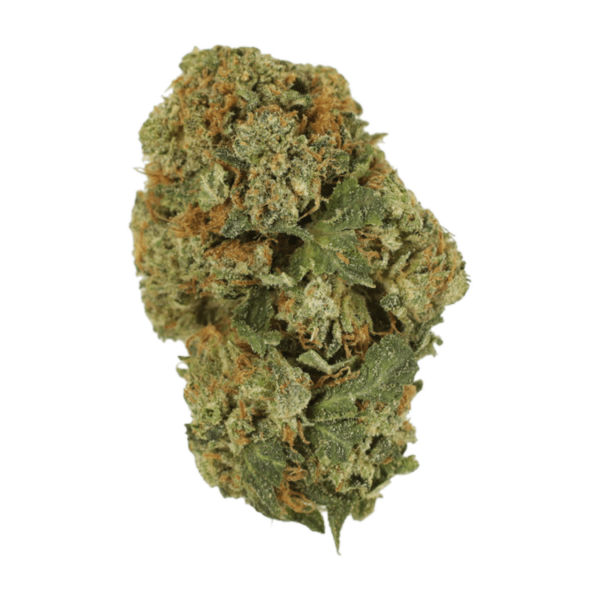 Dank Schrader | The Healing Co Canada