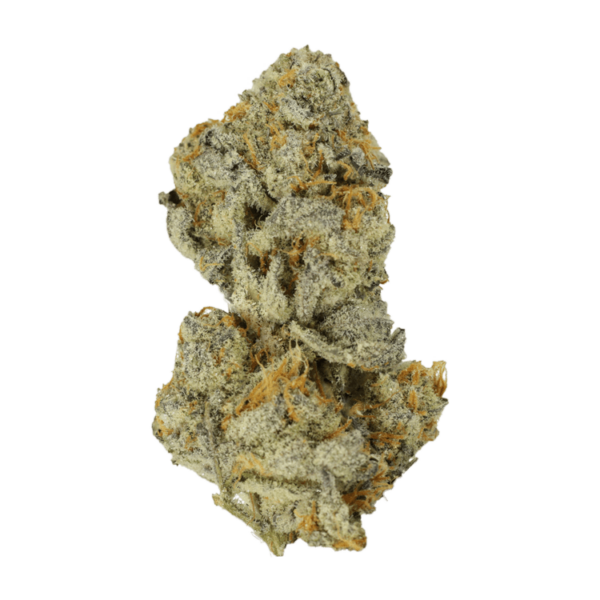 Bison Breath | The Healing Co Canada