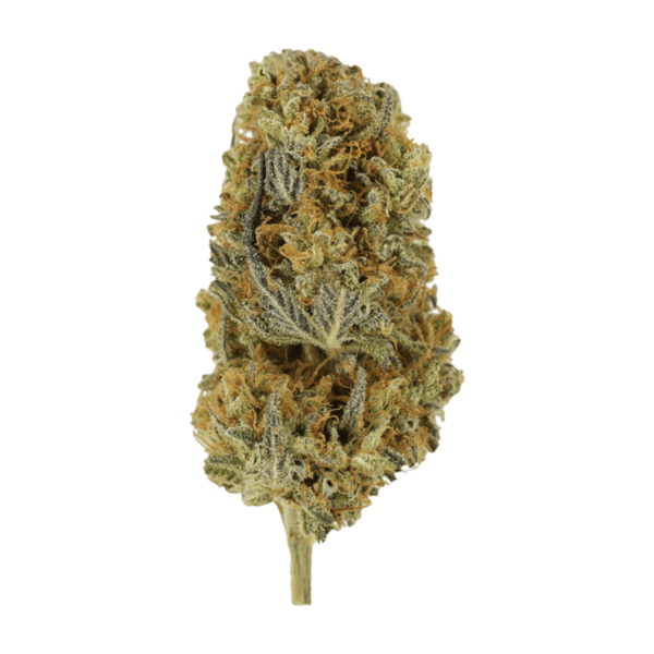 Headband | The Healing Co Canada
