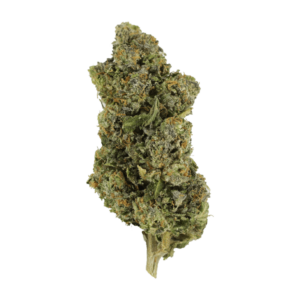 Jokerz | The Healing Co Canada