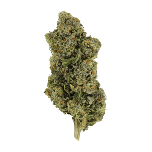 Jokerz | The Healing Co Canada