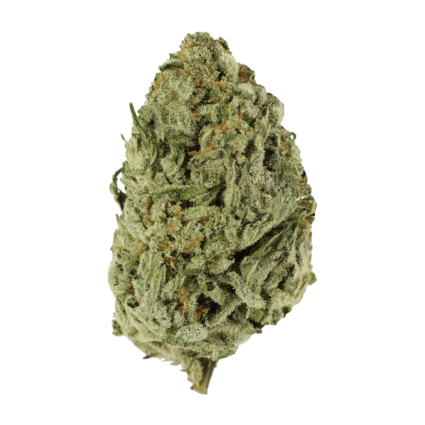 Lemon Meringue 1 Ounce | The Healing Co Canada
