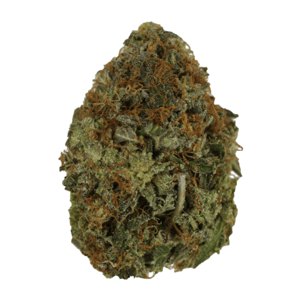 Orange Romulan | The Healing Co Canada