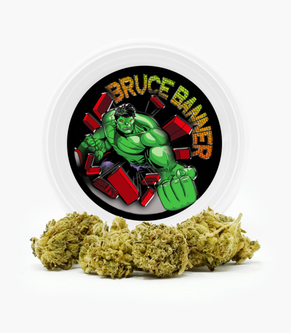Westcoast Cali Tins – Premium Flower – Mendo Breath – 14g | The Healing Co Canada