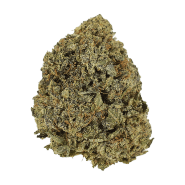 G13 | The Healing Co Canada