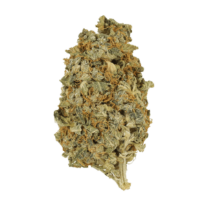 Mint Cookies | The Healing Co Canada