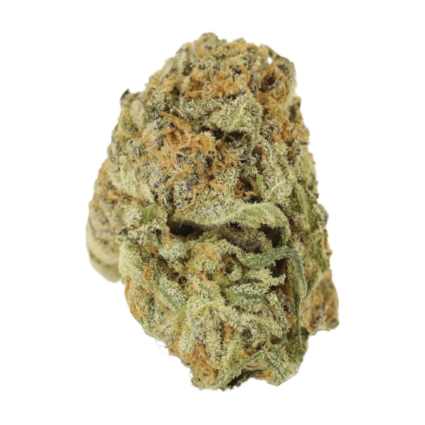 Mimosa Punch | The Healing Co Canada