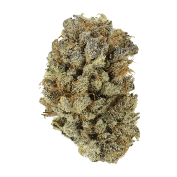 Mimosa Punch | The Healing Co Canada