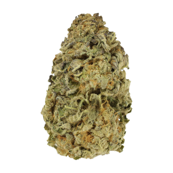 Mimosa Punch | The Healing Co Canada