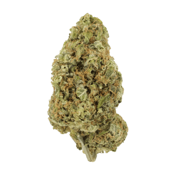 Sour Jack | The Healing Co Canada