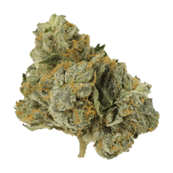 Mango Cream | The Healing Co Canada