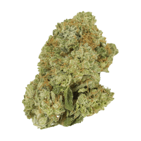 Green Lantern | The Healing Co Canada