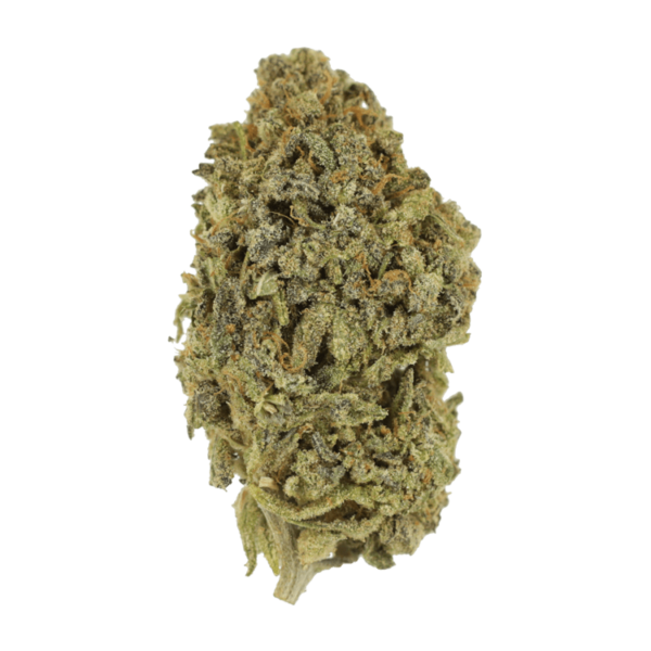 Watermelon Gelato | The Healing Co Canada