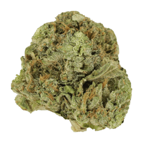 Mango Cream | The Healing Co Canada