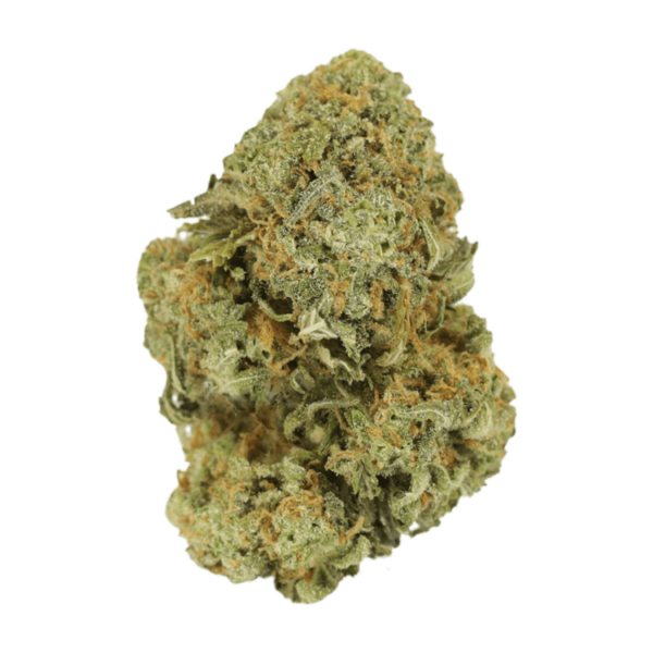 Watermelon Gelato | The Healing Co Canada