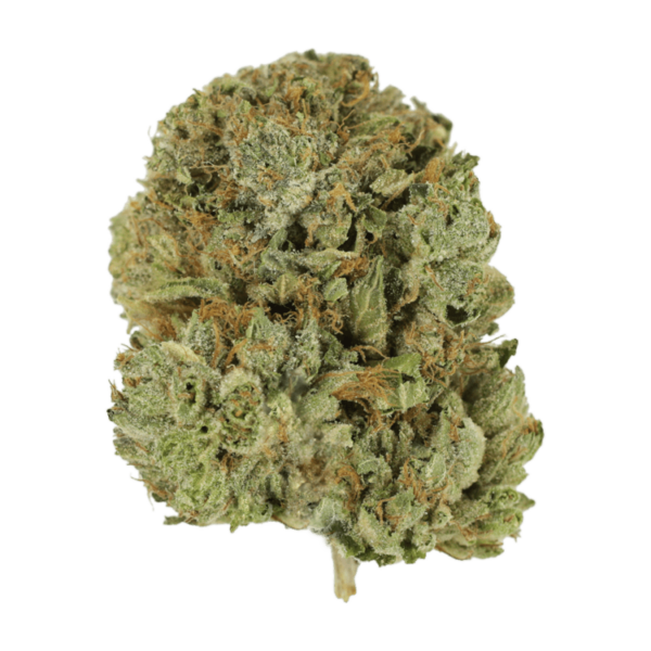 Pink Taco | The Healing Co Canada Pink Taco | The Healing Co Canada