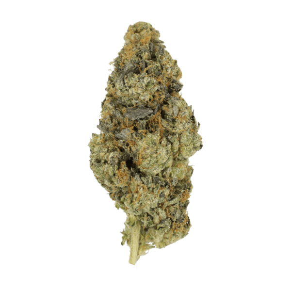 DoSi Face | The Healing Co Canada