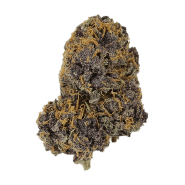 Huckleberry Soda | The Healing Co Canada