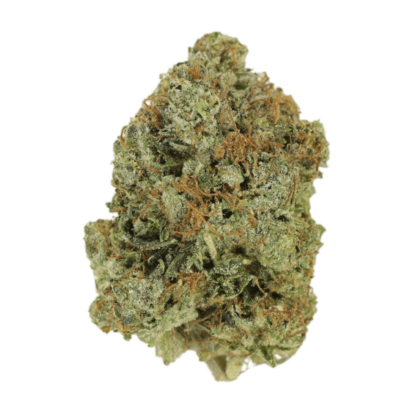 Jack Herer (popcorn) | The Healing Co Canada