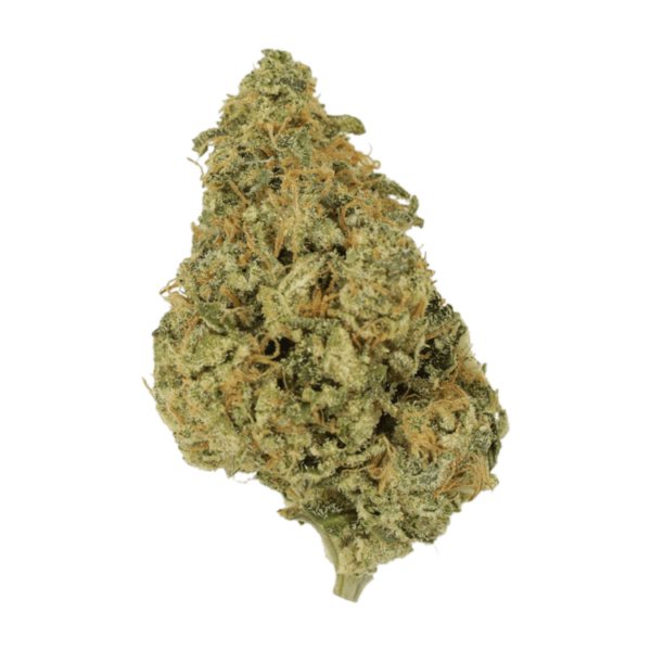 OG Lemon Haze | The Healing Co Canada