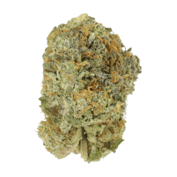 Strawberry Shortcake | The Healing Co Canada