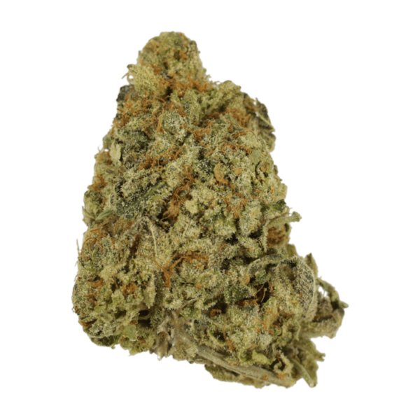 G Whiz | The Healing Co Canada