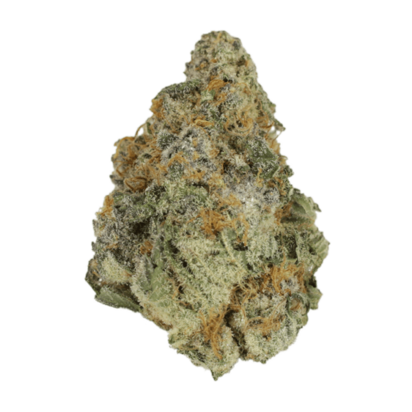 Purple Hindu Kush | The Healing Co Canada
