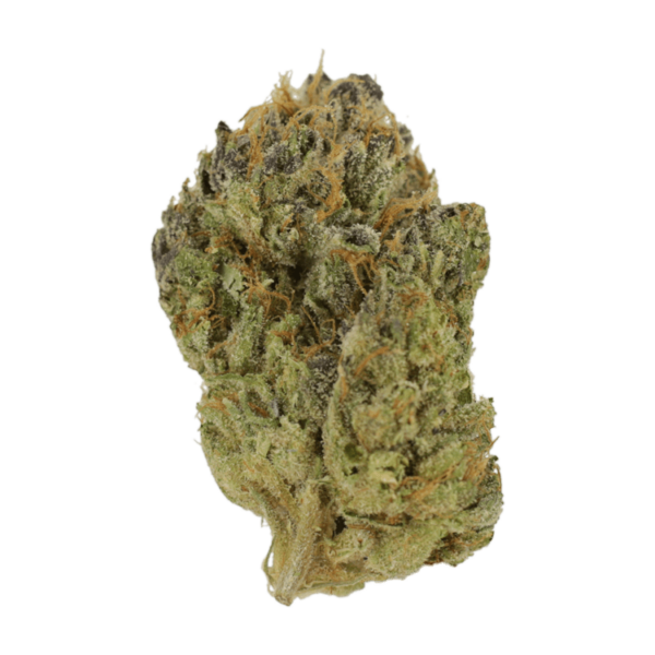 Blueberry Muffin | The Healing Co Canada