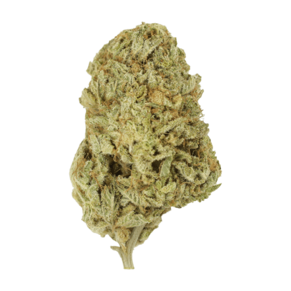 Face Mints | The Healing Co Canada