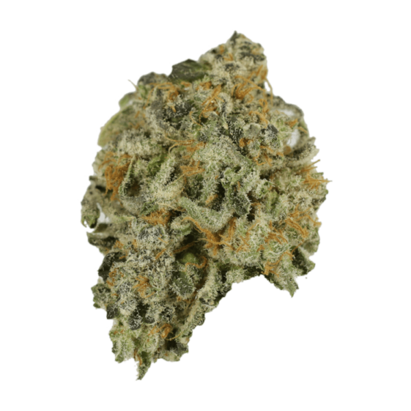 Alien Rock Candy | The Healing Co Canada