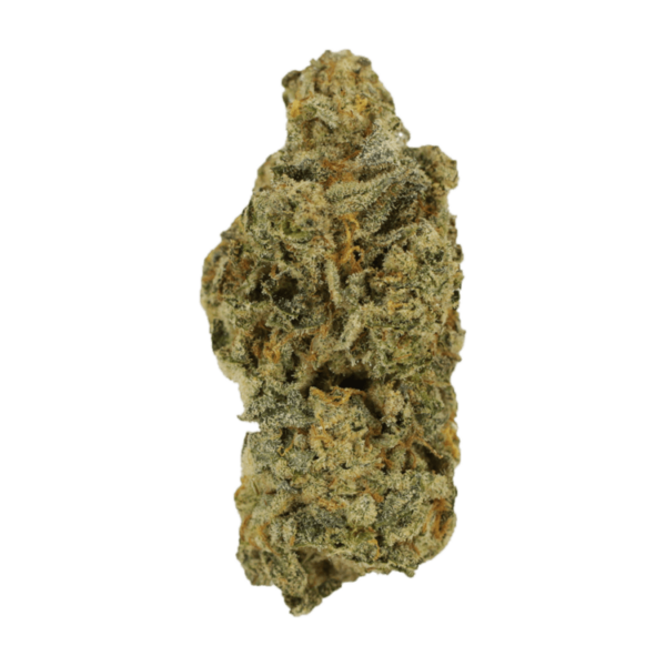 Cinderella 99 | The Healing Co Canada