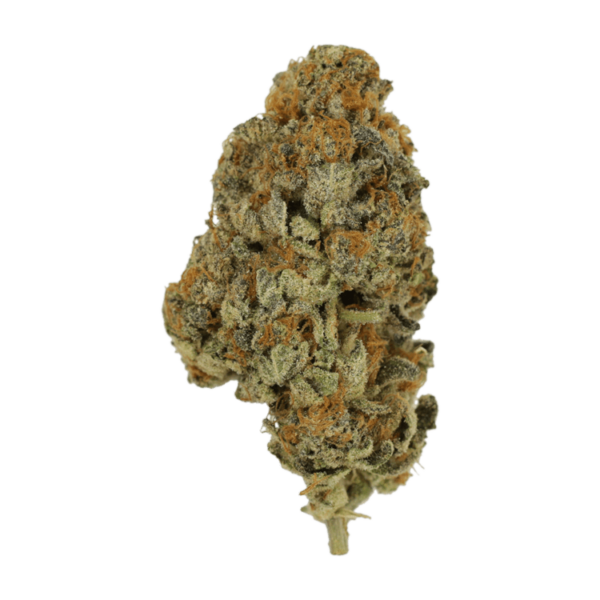 Key Lime Pie | The Healing Co Canada