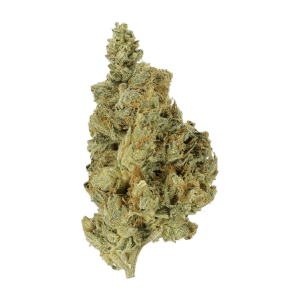 Berry Pie | The Healing Co Canada