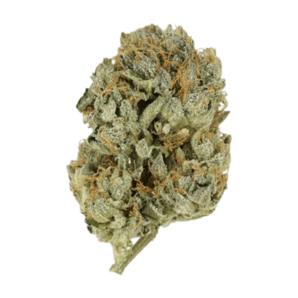 Kashmir Kush | The Healing Co Canada