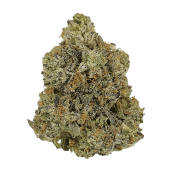 Rockstar | The Healing Co Canada