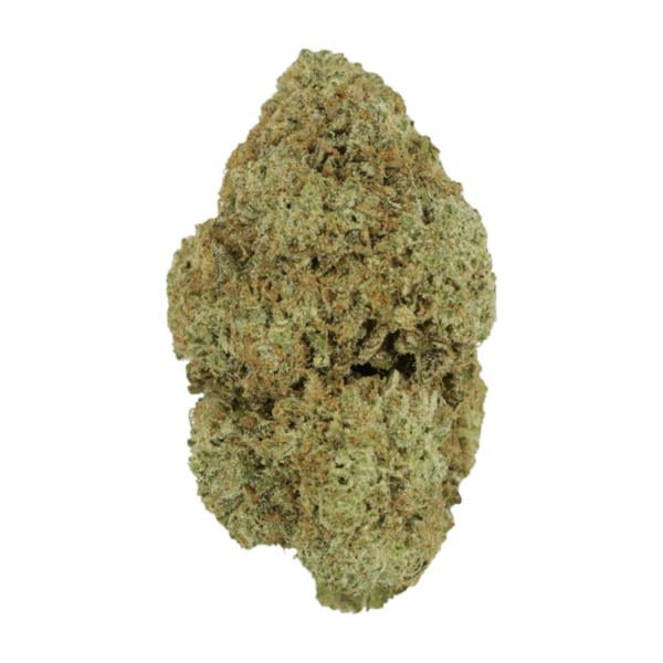 Vanilla Wafer | The Healing Co Canada