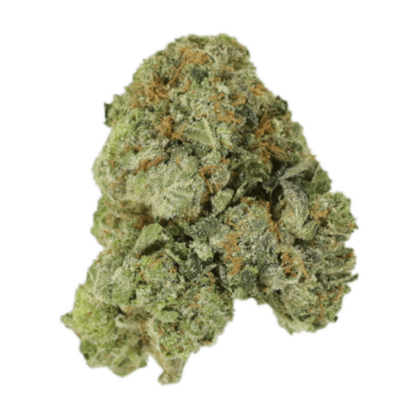 White Russian | The Healing Co Canada