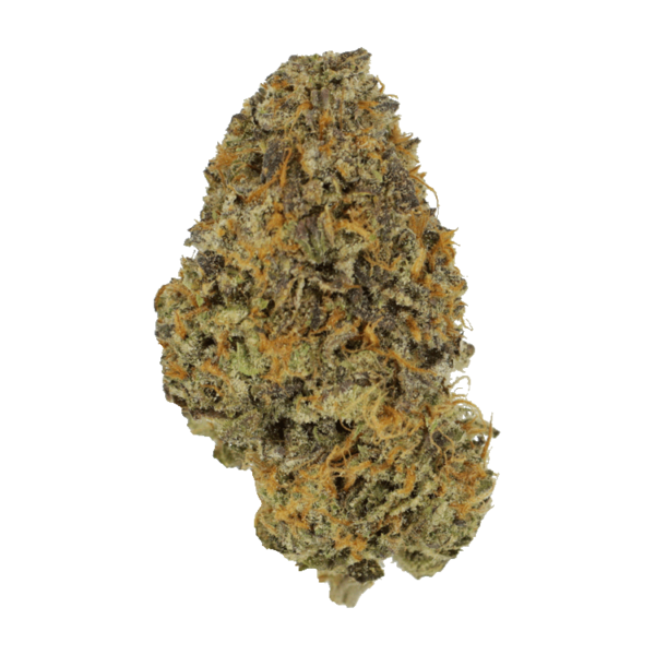 Blackberry Nightmare | The Healing Co Canada